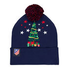 Gorro Navideño